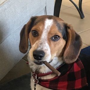 Meet your Posher, Thad